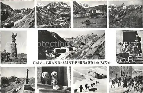 Grand St Bernard Ansichten Kat. Bernard Grand Saint