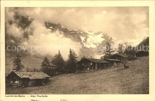 Loeche-les-Bains Alpe Feuillette / Leukerbad /Bz. Leuk