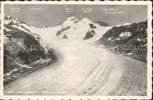 Aletschgletscher mit Eiger Moench und Jungfrau Berner Alpen Kat. Aletsch Grosser