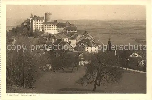 Regensberg Dielsdorf Schloss Kat. Regensberg