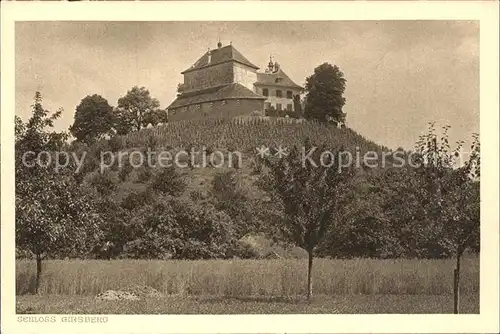 Emmishofen Schloss Girsberg Kat. Kreuzlingen