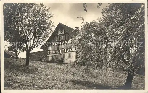 Thalwil Bauernhaus Baumbluete Kat. Thalwil