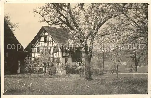 Waedenswil Bauernhaus Baumbluete Kat. Waedenswil