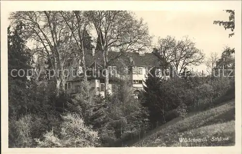 Waedenswil Schloss Kat. Waedenswil