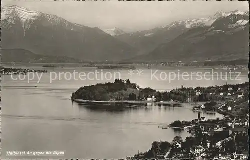 Au ZH Halbinsel Au mit Alpenpanorama / Au ZH /Bz. Horgen