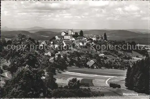 Regensberg Dielsdorf Panorama Kat. Regensberg