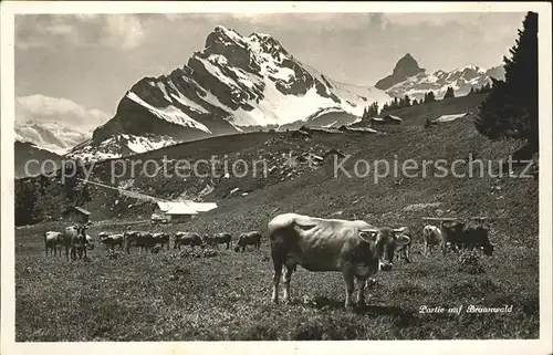 Braunwald GL mit Kuehen Kat. Braunwald