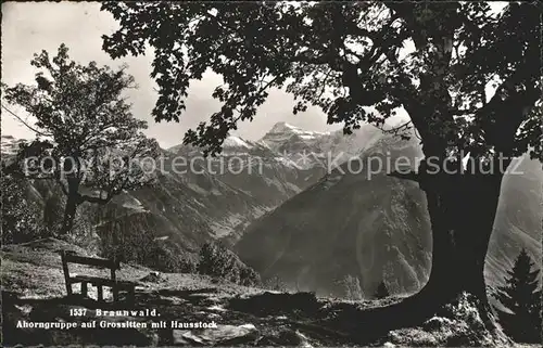 Braunwald GL Ahorngruppe und Grossitten mit Hausstock Kat. Braunwald