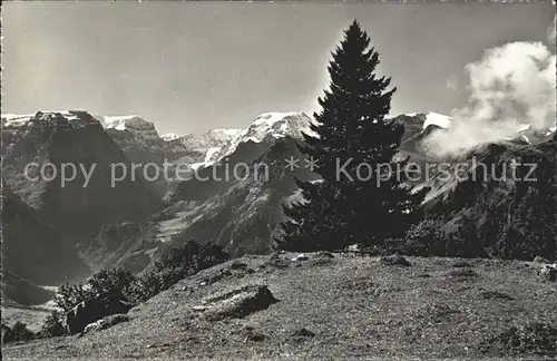 Braunwald GL Toedi und Bifertenstock Kat. Braunwald