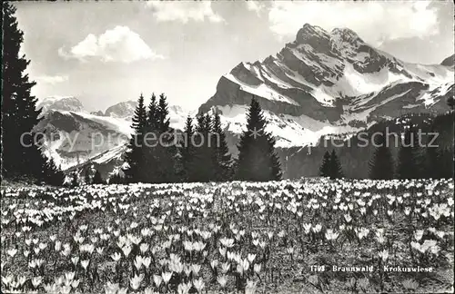 Braunwald GL Krokuswiese Kat. Braunwald