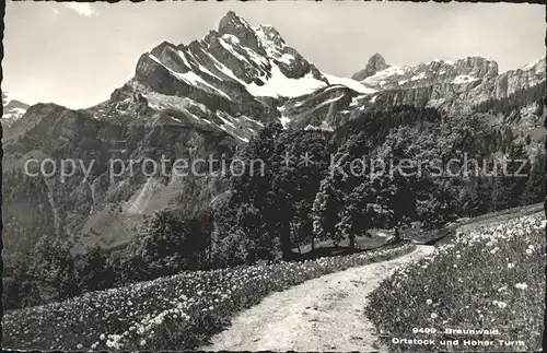 Braunwald GL Ortstock und Hoher Turm Kat. Braunwald