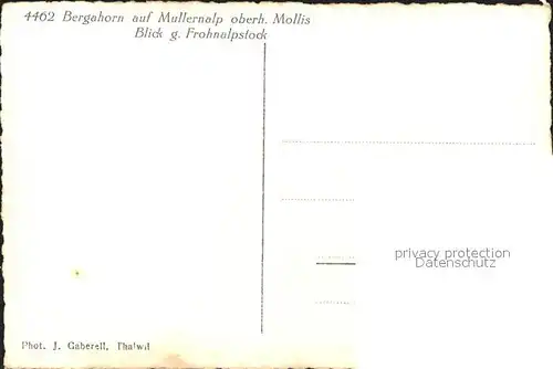 Mollis Mullernalp mit Frohnalpstock Kat. Mollis