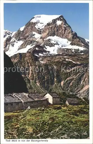 Toedi Von Baumgartenalp Kat. Toedi