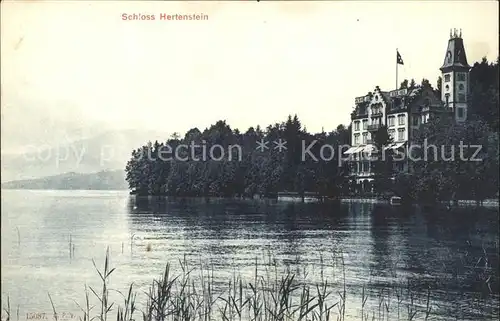 Hertenstein LU Schloss Vierwaldstaettersee Kat. Hertenstein LU