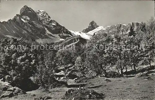 Braunwald GL Ortstock und Hoher Turm Kat. Braunwald