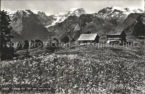 Braunwald GL Habegg mit Toedi und Gemsfayren Kat. Braunwald