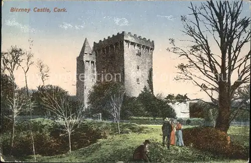 Cork Blarney Castle Kat. Cork