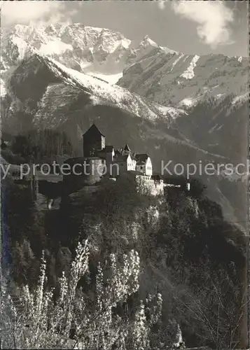 Vaduz Schloss mit Alpenpanorama Kat. Vaduz