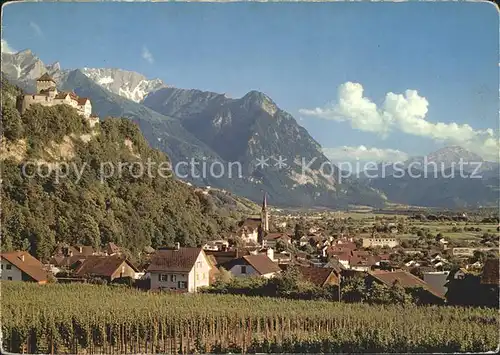 Vaduz Gesamtansicht mit Schloss und Alpen Kat. Vaduz