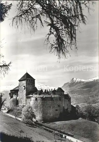 Vaduz Schloss Alpenpanorama Kat. Vaduz