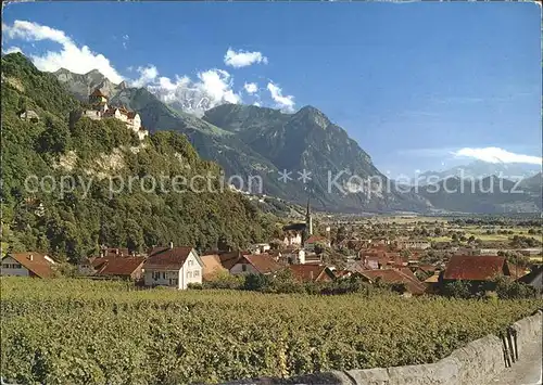 Vaduz Gesamtansicht mit Schloss und Alpenpanorama Rheintal Kat. Vaduz