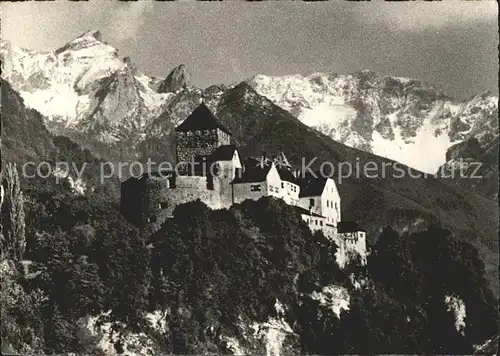 Vaduz Schloss mit Falknis Raetikon Stempel Briefmarkenausstellung Kat. Vaduz