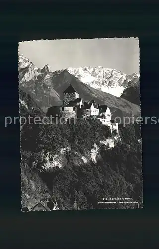 Vaduz Schloss mit Alpenpanorama Kat. Vaduz