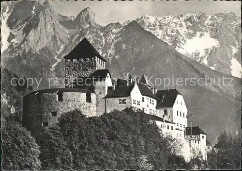 Vaduz Schloss mit Alpen Kat. Vaduz