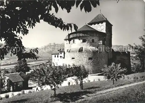Vaduz Schloss Blick ins Rheintal und Saentisgruppe Appenzeller Alpen Kat. Vaduz