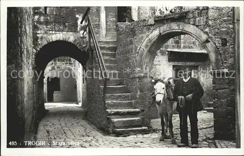 Trogir Trau Stara ulica Pferd Kat. Trogir