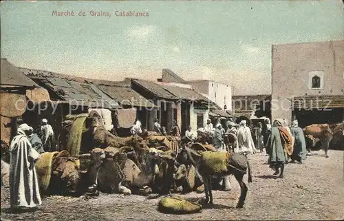 Casablanca Marche de Grains Esel Kat. Casablanca