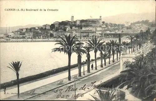 Cannes Alpes Maritimes Boulevard de la Croisette Palmiers Kat. Cannes