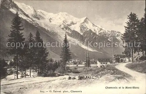 Chamonix Vue generale Kat. Chamonix Mont Blanc