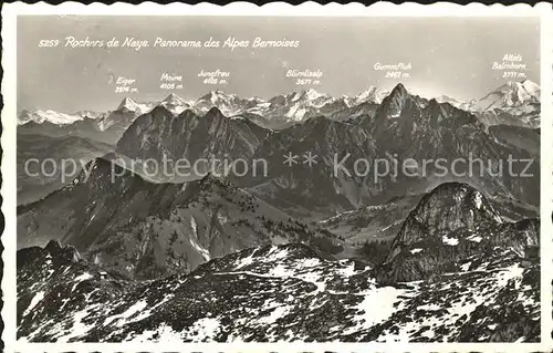 Rochers de Naye Panorama des Alpes Bernoises Kat. Rochers de Naye