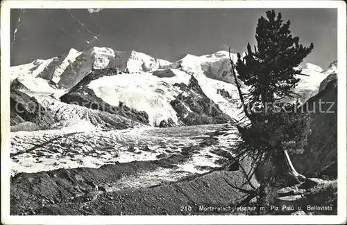 Morteratschgletscher mit Piz Palue und Bellavista Kat. Morteratsch