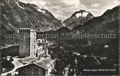 Maloja GR Schloss mit Monte del Forno / Maloja Graubuenden /Bz. Maloja