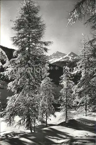 Davos GR Winterzauber Blick auf Leidbach und Rhinerhorn Kat. Davos