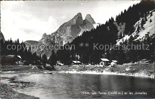 Tanay Valais Lac Tanay et les Jumelles Kat. Vouvry