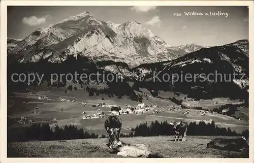 Wildhaus SG mit Schafberg Kat. Wildhaus Lisighaus