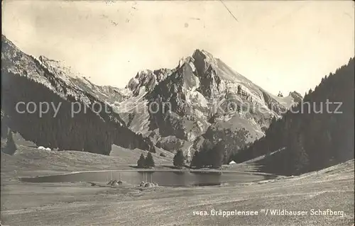 Wildhaus SG Graeppelensee mit Schafberg Kat. Wildhaus Lisighaus