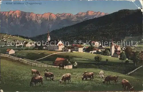 Wildhaus SG Ortsansicht mit Alpenpanorama Kat. Wildhaus Lisighaus