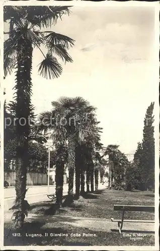 Lugano TI Il Giardino dell Palme Kat. Lugano