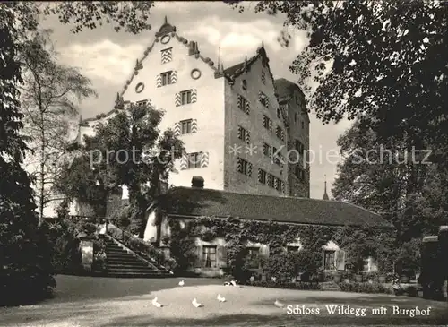 Wildegg Schloss Wildegg mit Burghof Kat. Wildegg
