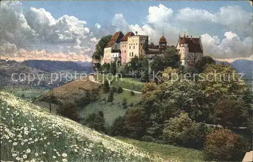 Lenzburg Schloss Kuenstlerkarte  Kat. Lenzburg