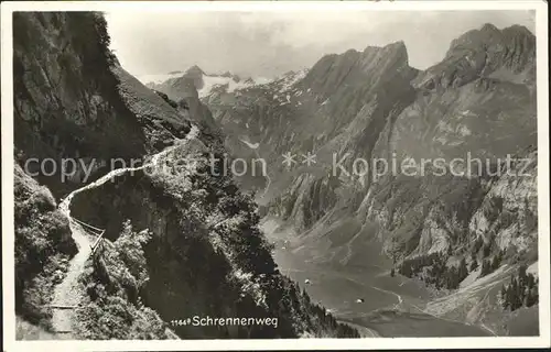 Alpstein mit Schrennenweg Kat. Alpstein