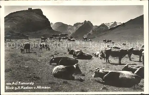 Hoher Kasten Altmann und Kamoralp Kuehe Kat. Appenzeller Alpen