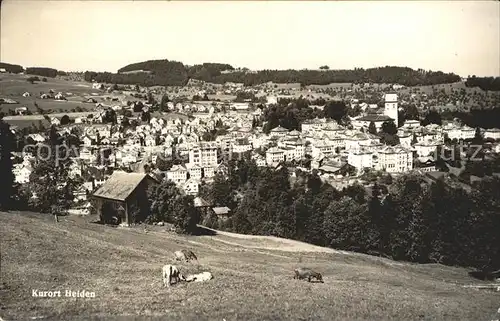 Heiden AR total / Heiden /Bz. Vorderland