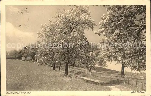 Heiden AR Fruehling Baum-Blueten / Heiden /Bz. Vorderland