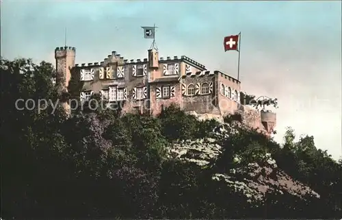 Baden AG Schloss Schartenfels Kat. Baden