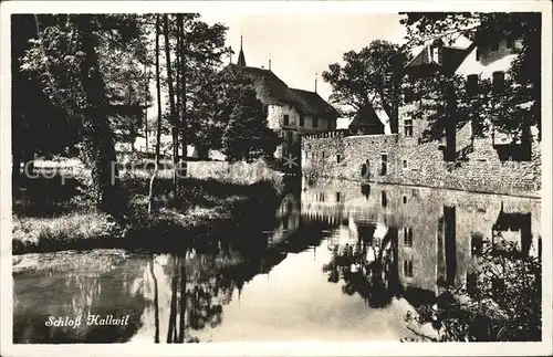 Hallwil Schloss Hallwil Kat. Hallwil